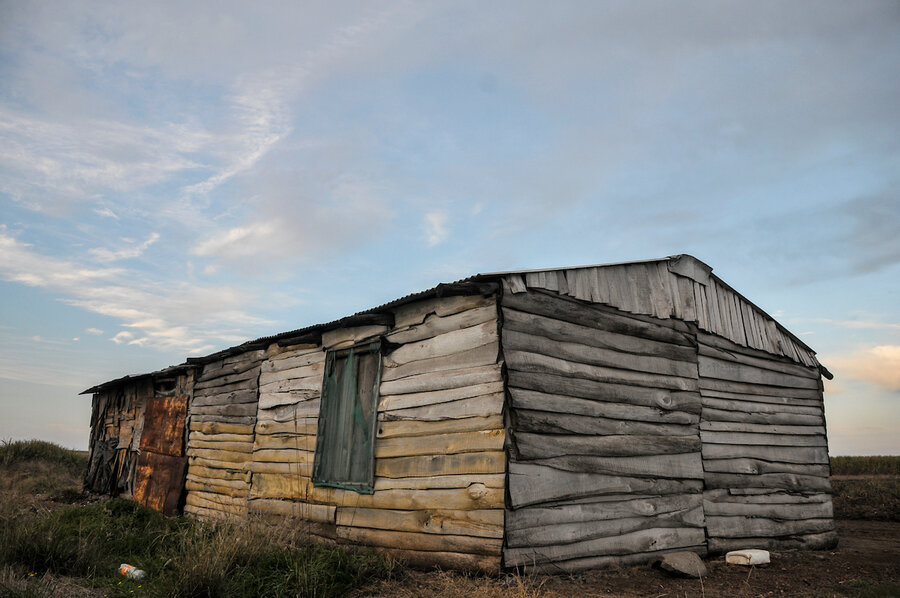 imagen de Unas 2.000 familias rurales no cuentan con “acceso autónomo” a agua potable en el campo uruguayo, según estimaciones oficiales