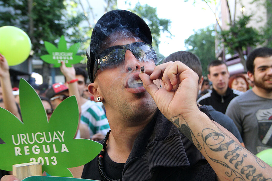 imagen de A 18 meses de anunciarlo, el Frente Amplio aprobó una ley 	que controla y regula la producción y venta de la marihuana