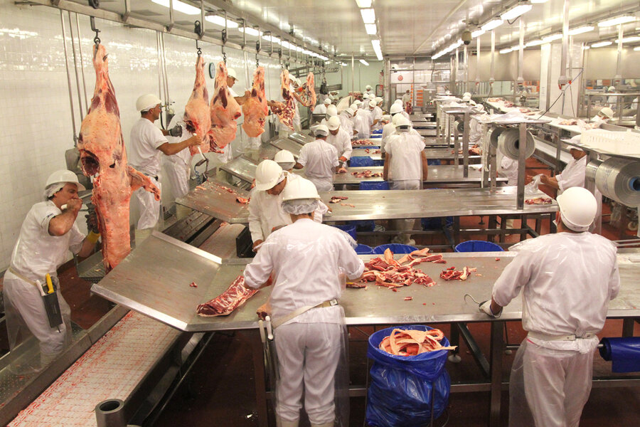 imagen de Cinco empresas concentran 70% de la faena; en una década China pasó de ser destino del 5% al 60% de las exportaciones de carne