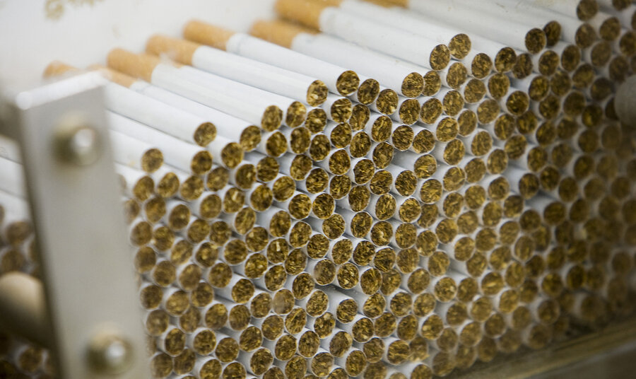 imagen de Aunque en un repliegue productivo en Uruguay, la industria tabacalera incrementó su “interferencia” según un informe