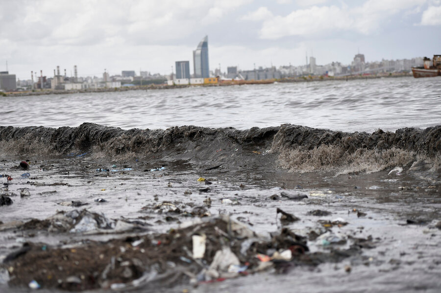 imagen de Hay “urgencia ambiental” y los gobiernos deben “hacer cumplir” las leyes antes de seguir legislando, advierte especialista francés