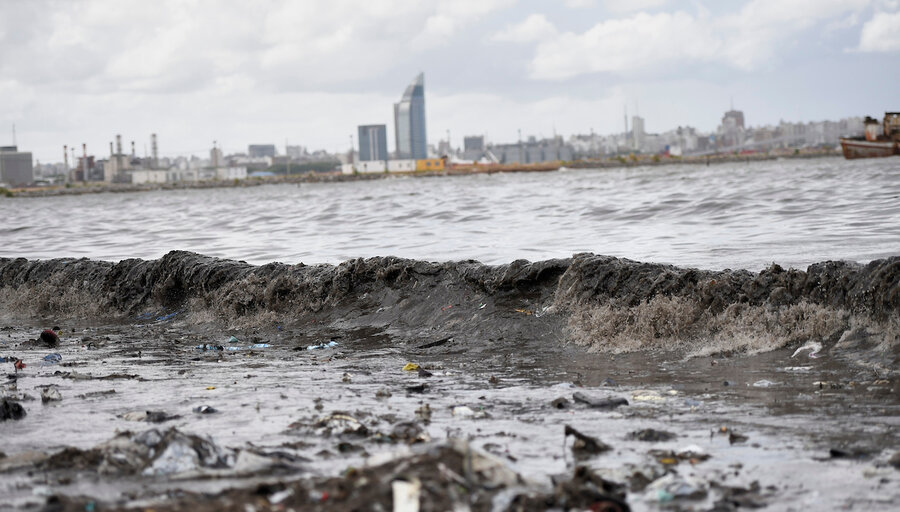 imagen de Hay “urgencia ambiental” y los gobiernos deben “hacer cumplir” las leyes antes de seguir legislando, advierte especialista francés