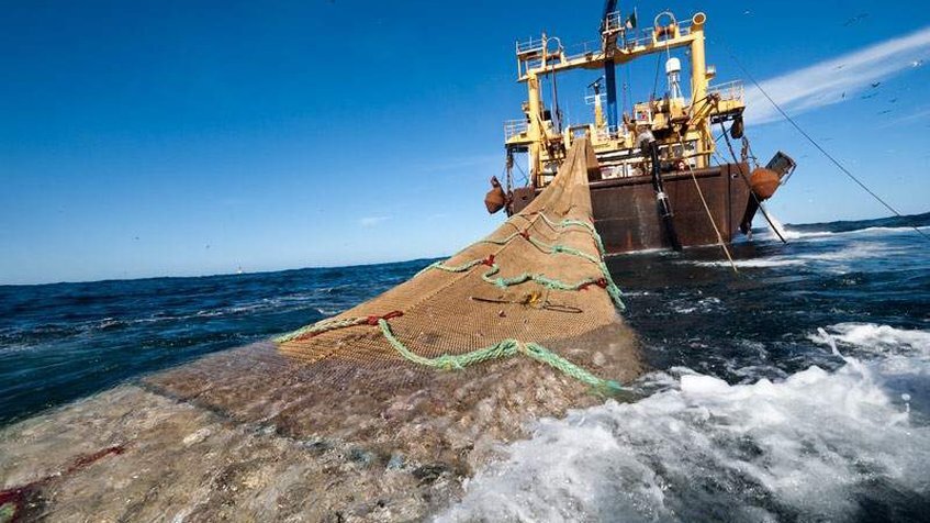 imagen de Uruguay se incorpora a un proyecto global que permitirá destinar US$ 2 millones a mejorar el combate a la pesca ilegal