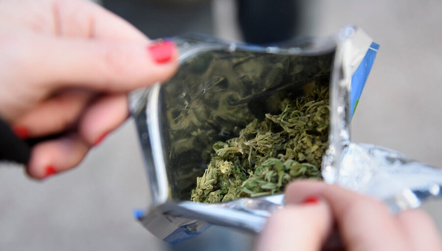 imagen de El Ministerio de Salud considera que habilitar la venta de marihuana a los turistas “no altera” la situación sanitaria