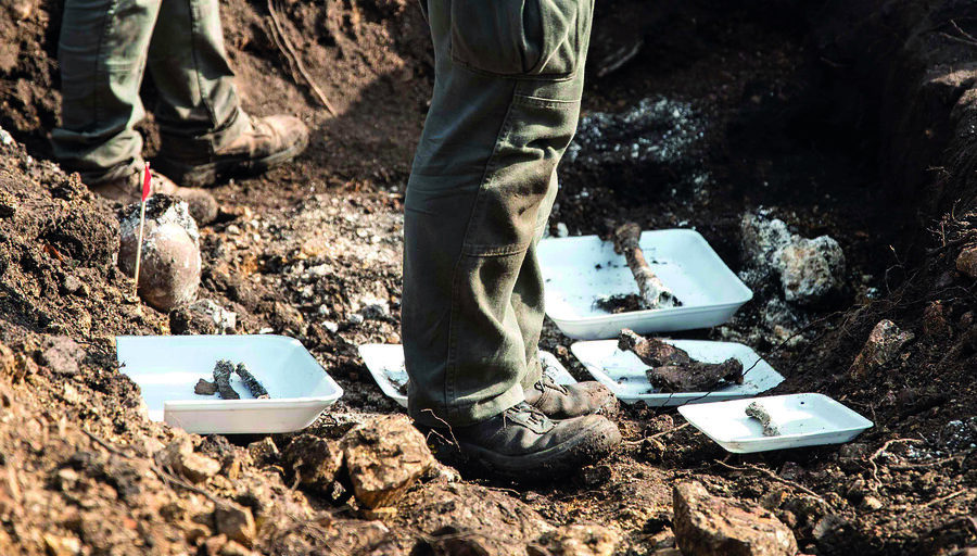 imagen de Fiscal de lesa humanidad juega su “última carta” en busca de información de desaparecidos