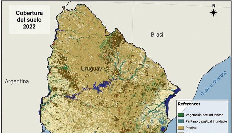 imagen de En cuatro décadas Uruguay perdió 2,5 millones de hectáreas de pastizales naturales